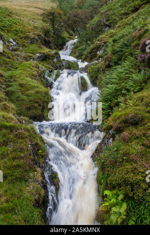 Cascata lungo Dalveen passano nel Lowther Hills. Dumfries and Galloway, Scottish Borders, Scozia Foto Stock