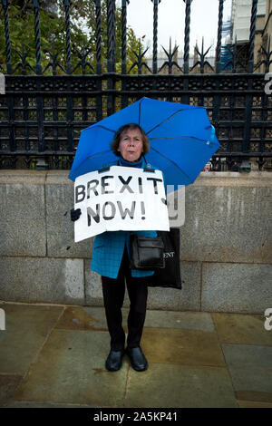 Le case del Parlamento europeo 21 ottobre 2019. Hazel, lasciare sostenitore tiene un cartello che diceva "Brexit ora'. Foto Stock