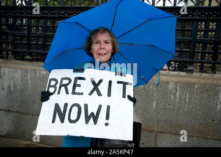 Le case del Parlamento europeo 21 ottobre 2019. Hazel, lasciare sostenitore tiene un cartello che diceva "Brexit ora'. Foto Stock