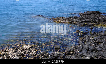 Rangitoto Island (Riserva Paesaggistica) vicino Auckland in Nuova Zelanda Foto Stock