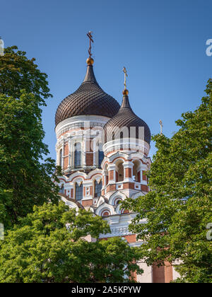 La Cattedrale Alexander Nevsky, Tallinn, Estonia Foto Stock