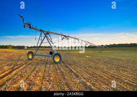 Perno del sistema di irrigazione nel campo di grano . Foto Stock