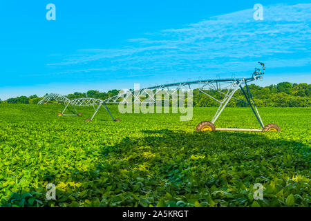 Sistema di irrigazione in un campo. Foto Stock