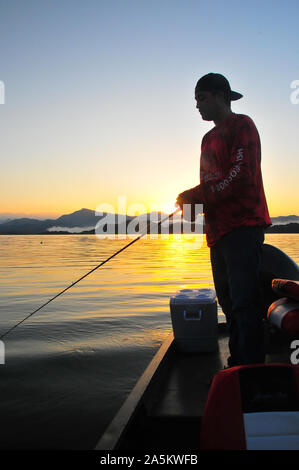 Lago Picachos offre grandi Bass pesca, bellissimi paesaggi come le montagne, inondati di legname, nebbia, e abbondante acqua uccelli come garzette. Foto Stock