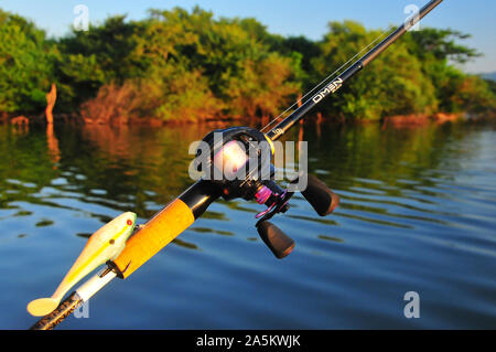 La filatura e mulinelli baitcasting aste e ottenere un allenamento su forti Messico bass. Foto Stock