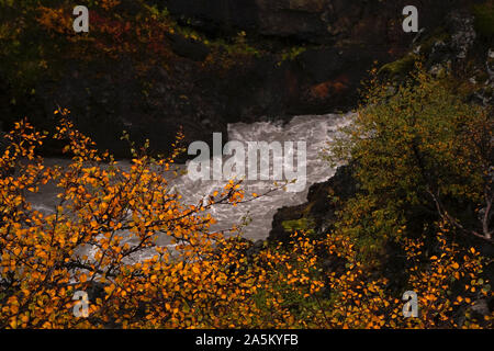 Cascata proveniente della roccia con colori autunnali Foto Stock