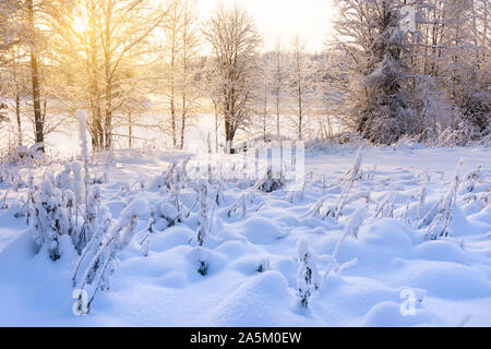 Paesaggio invernale lungo la coperta di neve riverbank, Fiume Pielisjoki fluente attraverso il paesaggio invernale Foto Stock