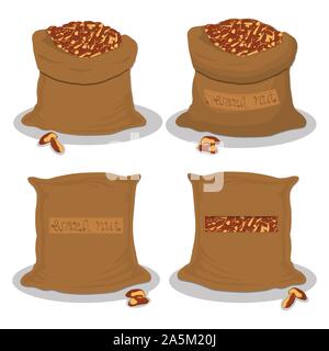 Illustrazione Vettoriale logo per sacchi riempiti marrone con noci del Brasile, lo stoccaggio in sacchi. Il dado disegno costituito da alimenti maturi, prodotto grezzo sul sacco aperto. Tast Illustrazione Vettoriale