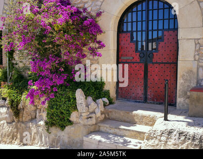 Una boccola grande di purple bougainvillea cresce in prossimità di un edificio rosso con gate metallici. Foto Stock