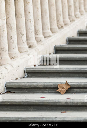 Brown autumn leaf su scala esterna Foto Stock