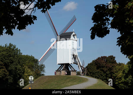 Antichi Mulini a vento a Kruisport, Bruge, Belgio Foto Stock