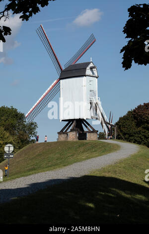 Antichi Mulini a vento in legno a Kruisport, Bruge, Belgio Foto Stock