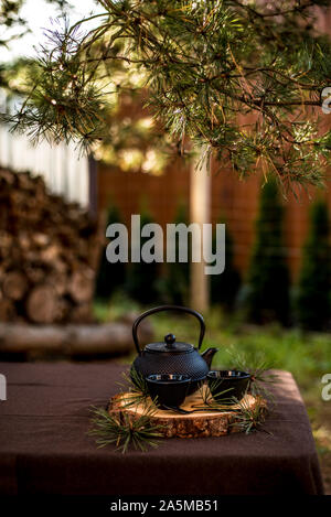 Teiera in giardino con un infuso di pino. Il tè di pino. Foto Stock