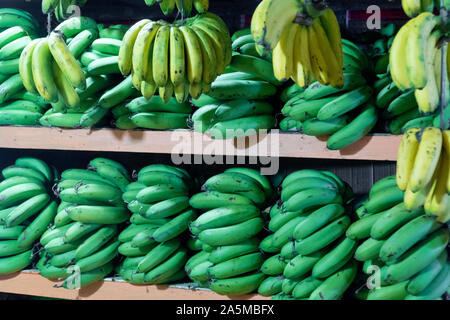 Verde e marrone levetta di banane sul contatore. Banane verdi sul contatore. Foto Stock