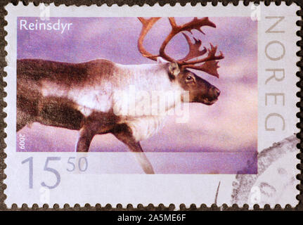 La renna sul francobollo di Norvegia Foto Stock