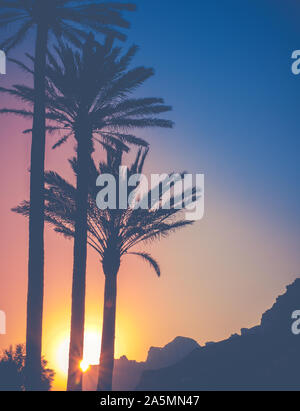 Il sole che tramonta dietro le palme e le montagne durante un tramonto tropicale in Hawaii Foto Stock