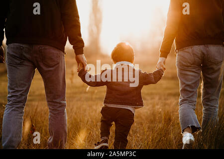 Vista posteriore della famiglia tenendo le mani e piedi al tramonto in autunno prato. Foto Stock