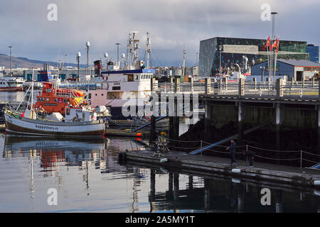 Vista sul porto vecchio di Reykjavík, Islanda Foto Stock