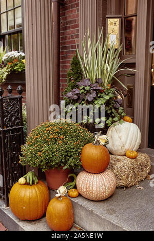 Zucche decorazione di entrata di arenaria nel quartiere storico di Beacon Hill a Boston, Massachusetts. Foto Stock