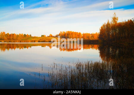 Scenic autumn landscape. Il cielo blu, ingiallito alberi e cespugli sono riflesse nella calma superficie del lago. Foto Stock