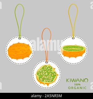 Illustrazione sul tema grande impostare diversi tipi kiwano africani, stelo verde, melone varie dimensioni. Kiwano disegno costituito da farina di raccolta per il melone o Illustrazione Vettoriale