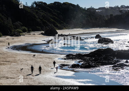 Nobbys Beach, Port Macquarie, un cane locale friendly spiaggia. Foto Stock
