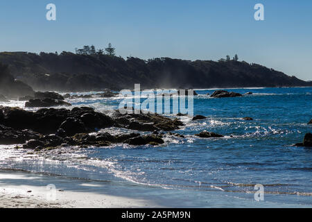 Nobbys Beach, Port Macquarie, un cane locale friendly spiaggia. Foto Stock
