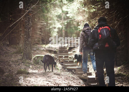 La gente camminare attraverso la foresta con i cani Foto Stock