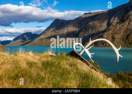 Corna sul tetto di casa in massa Foto Stock