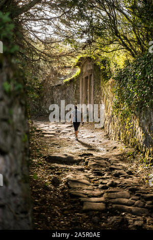 Piklgrim sul modo in foresta, vicino a Viana do Castelo, Portogallo, Europa. Camino portugues. Foto Stock