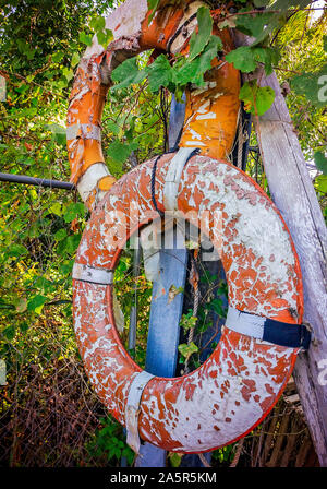 Indossato salvagente anelli appesi da una recinzione presso il capannone di stagno, 6 ott. 2019, in Apalachicola, Florida. Foto Stock