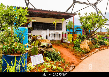La medaglia d'oro vincendo RHS Chelsea Flower Show 2019 CAMFED Giardino ri-costruito all'Eden Project, Cornwall, Regno Unito Foto Stock