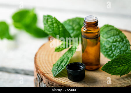 Piccola bottiglia di vetro con olio essenziale di menta su sfondo di legno Foto Stock