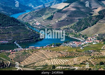 Vista sui vigneti e sul fiume Douro a Pinhao, Portogallo. Foto Stock