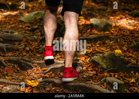 Gambe maschio su una foresta escursioni sentiero coperto di foglie di autunno, salendo, vista posteriore Foto Stock