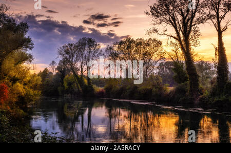 In autunno il tramonto sul fiume Sile a cCasale sul Sile (Italia). Alberi e paesaggio di campagna Foto Stock
