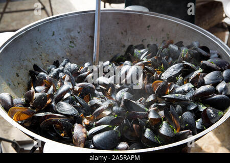 Le cozze al vapore bollite nel vino bianco con erbe e crema con aglio in grande ghisa calderone. Cucina mediterranea, street food festival. Foto Stock