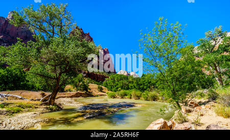 Il fiume vergine nel Canyon Zion con picco di Giacobbe sulla sinistra, uno dei tre picchi nella corte dei Patriarchi, nel Parco Nazionale di Zion, UT, STATI UNITI D'AMERICA Foto Stock