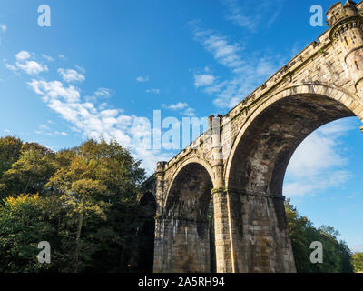 Il viadotto ferroviario sul fiume Nidd da Waterside a Knaresborough North Yorkshire, Inghilterra Foto Stock