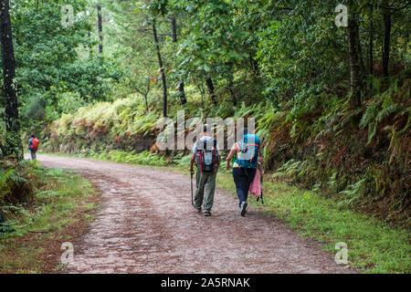 Pellegrini in cammino camino Portugues, Galizia, Spagna. Foto Stock