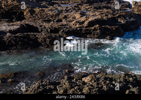 Nobbys Beach, Port Macquarie, un cane locale friendly spiaggia. Foto Stock