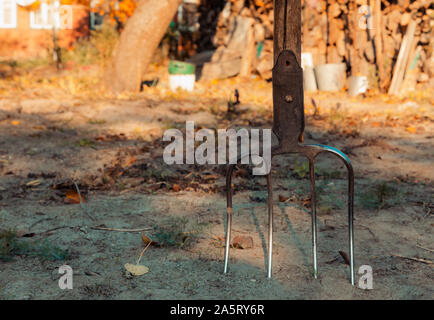 Forcone nel terreno closeup nel giardino. Foto Stock