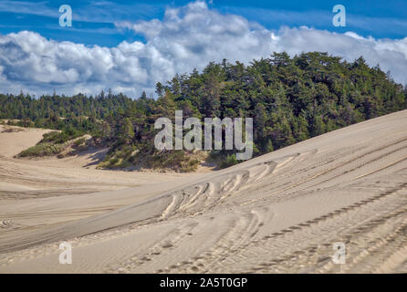 Oregon Dunes Foto Stock