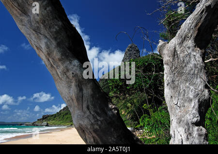 Praia do Boldró, Fernando de Noronha, Pernambuco, Brasile Foto Stock