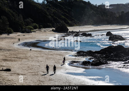 Nobbys Beach, Port Macquarie, un cane locale friendly spiaggia. Foto Stock