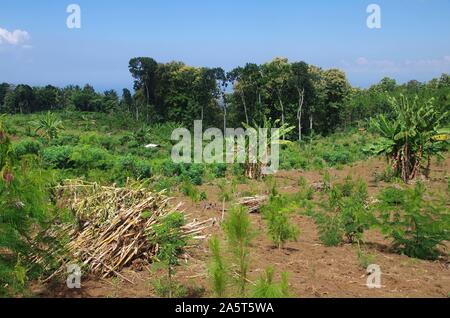 Paesaggio rurale sull'isola di Java in Indonesia Foto Stock