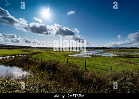 Le zone umide nella Riserva naturale del paesaggio sotto la forte luce solare Foto Stock