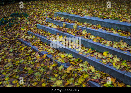 Leafes colorato su scale in autunno Foto Stock