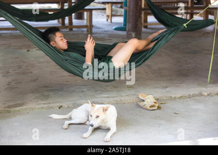 Un giovane uomo giace in una amaca e guarda al suo telefono. Cane accanto a lui. Foto Stock