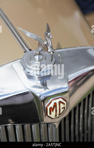 Visualizzati qui sono cromate auto mascotte del radiatore o ornamenti. Visto qui su un MG auto radiatore. Foto Stock